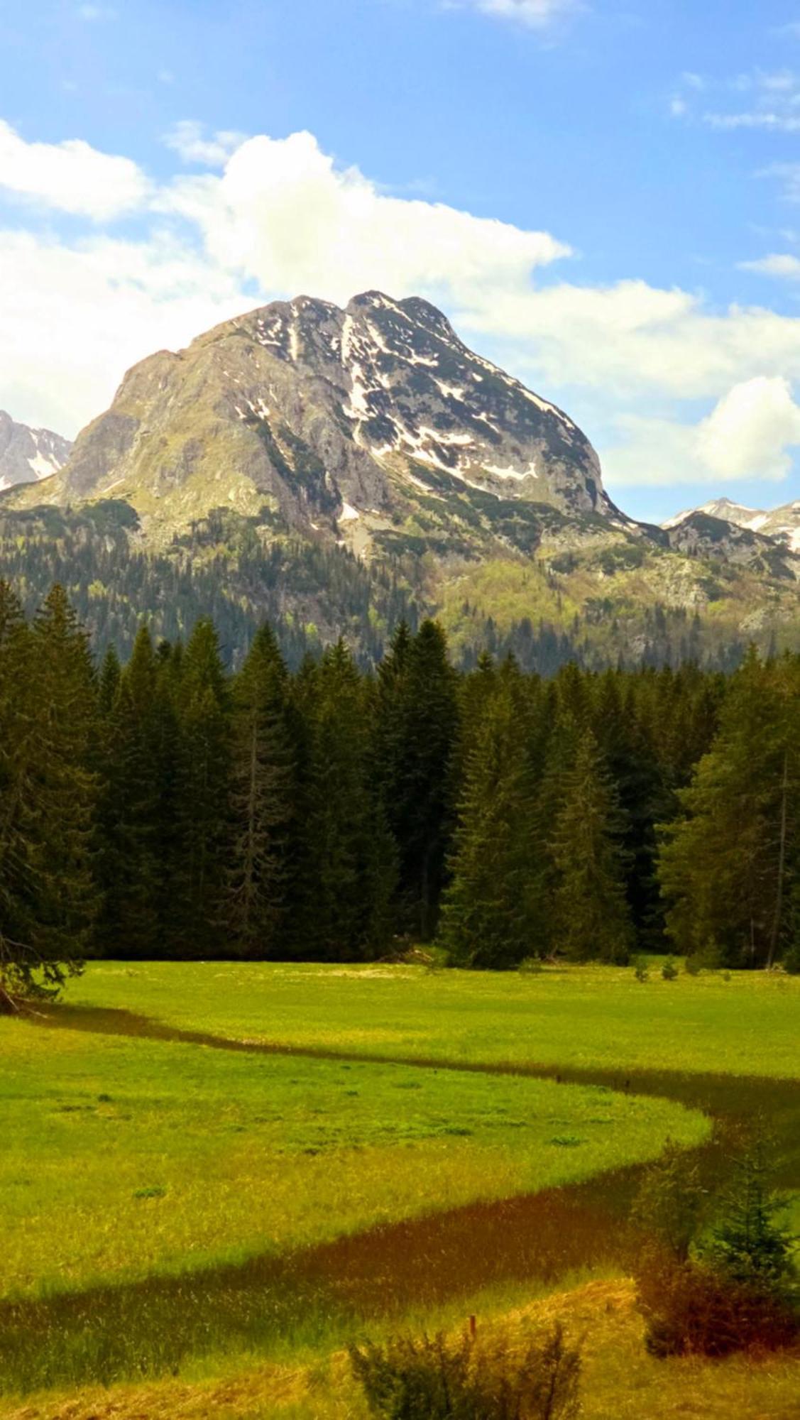 Lena * Zabljak (Zabljak)